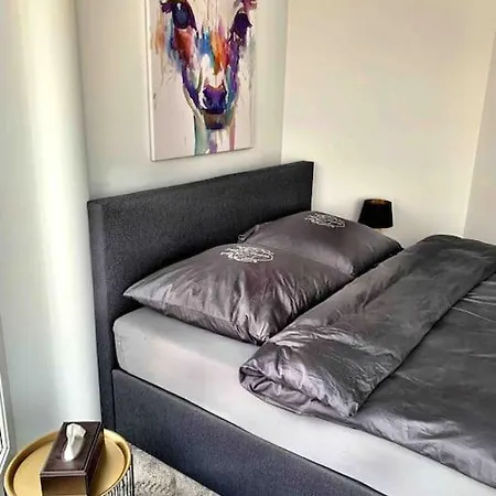 Beheizbarer Pool - Zentral & Modern Mit Elbzugang! Tatil Evi Dresden